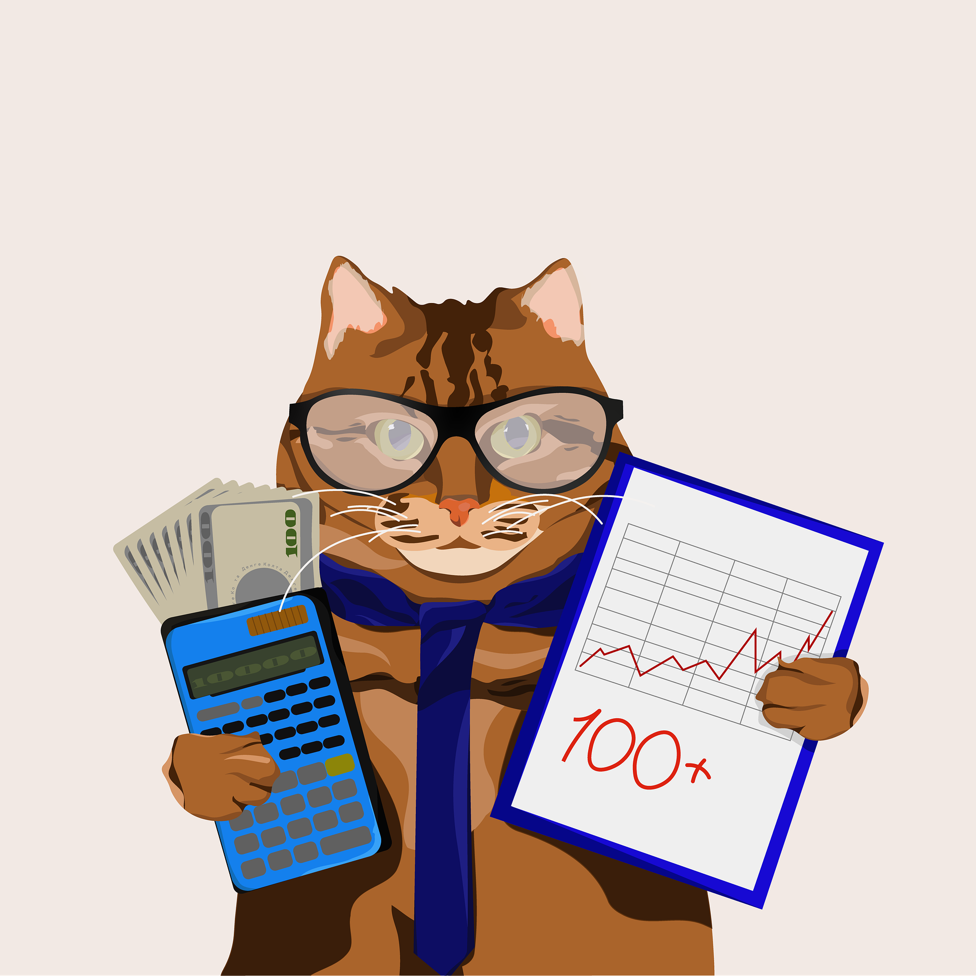 Кот бухгалтер. Кот бухгалтер картинки. Кошка в очках бухгалтер. Кошечка бухгалтер. Кошка бухгалтер